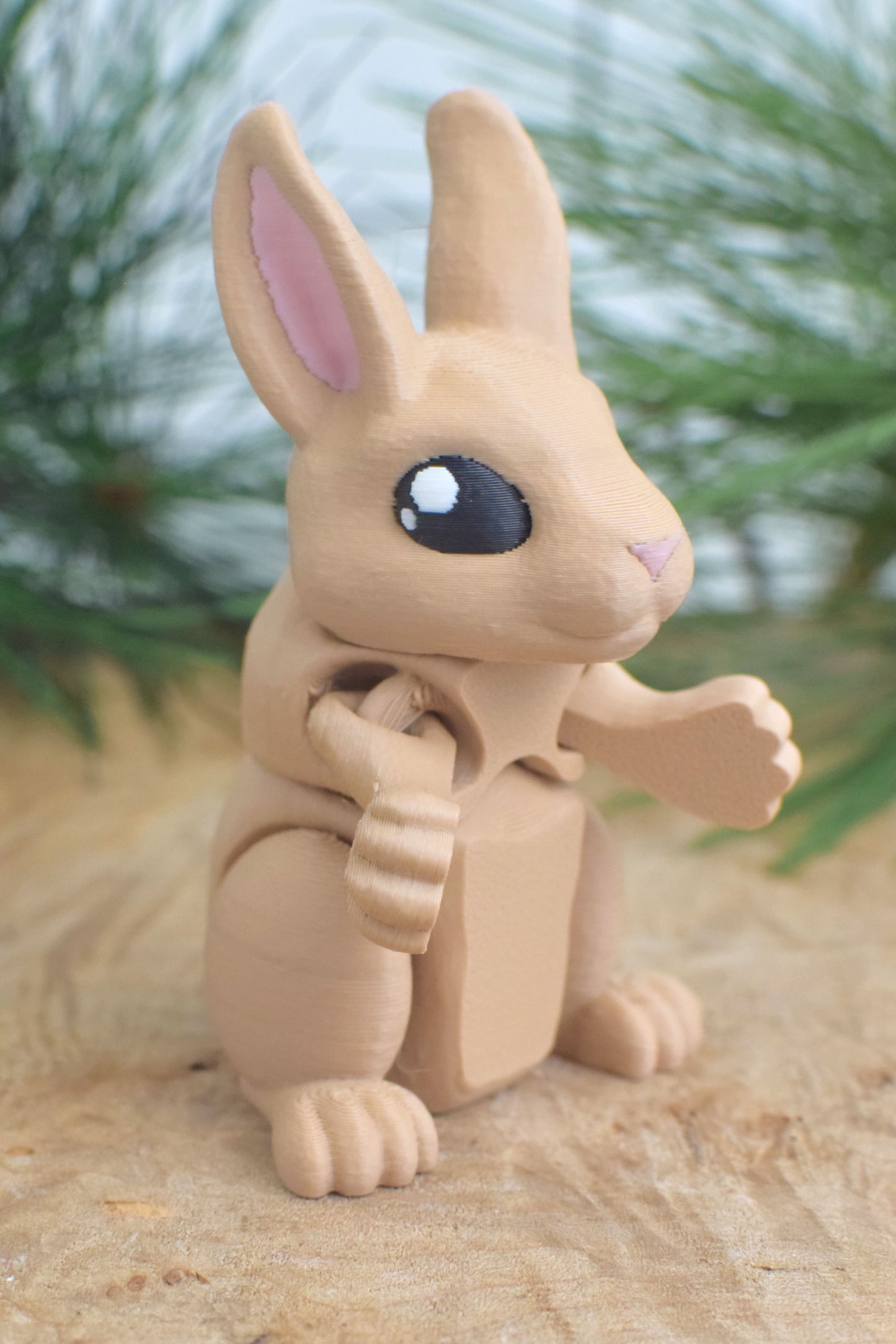 3D Bunny