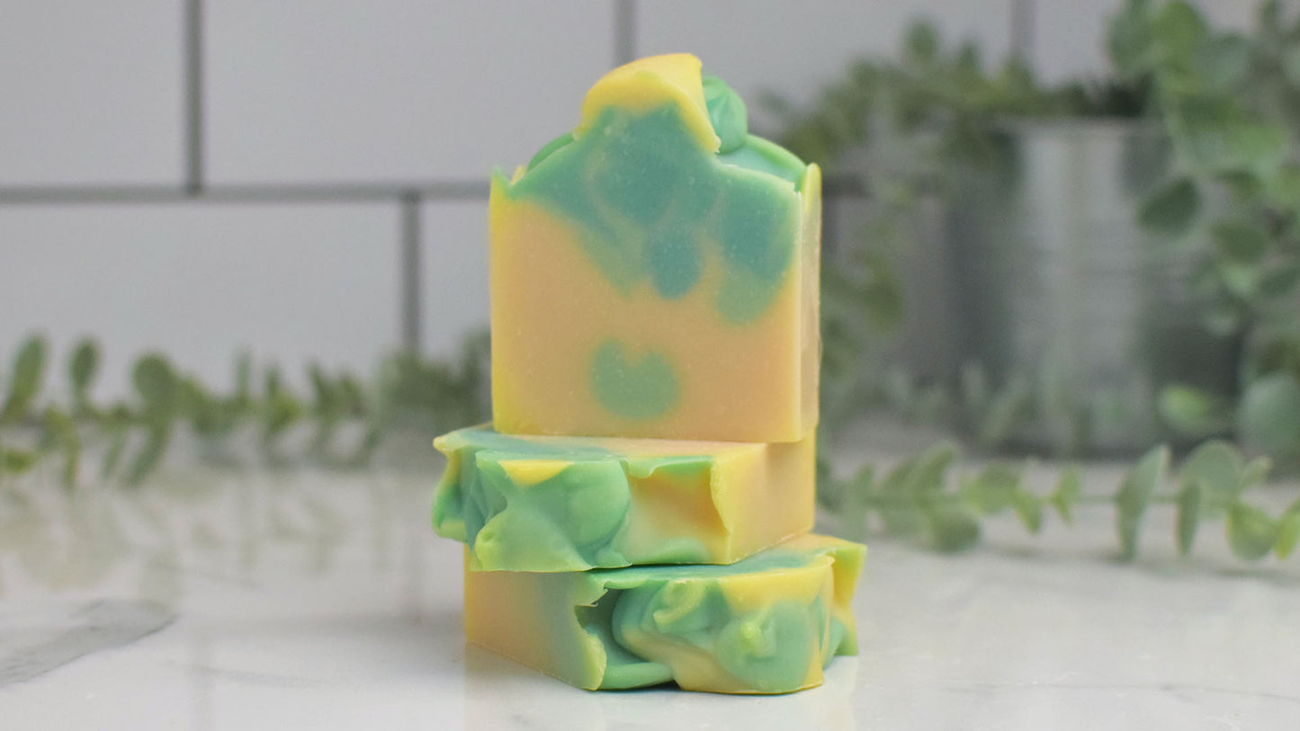 Evergreen Soap